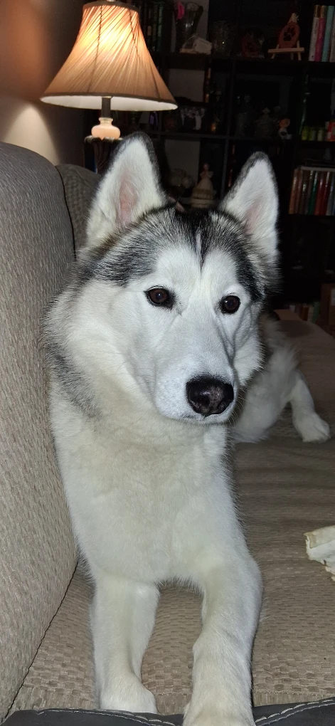 Nancy Paquette profile