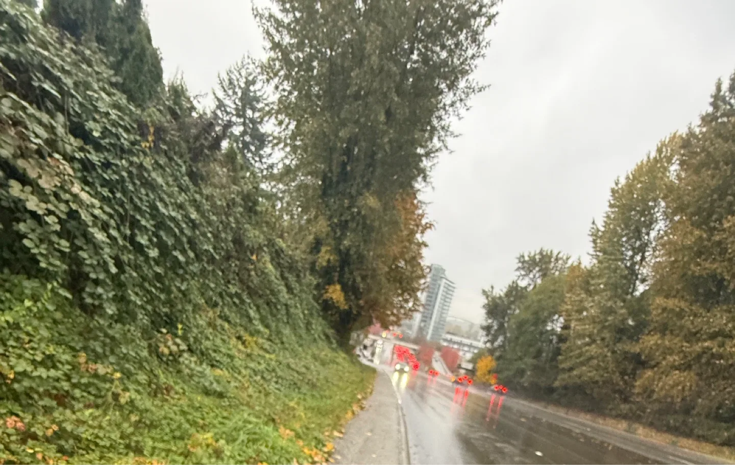 Sabod Danshiri profile