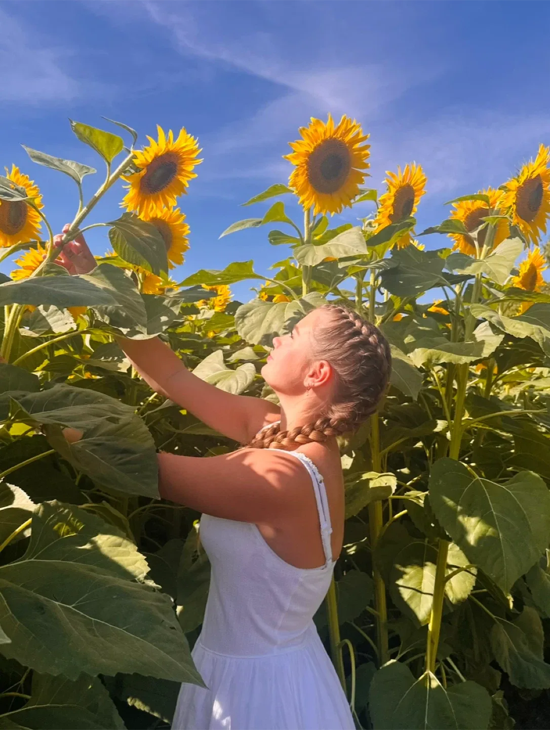 Sophie McCrae profile