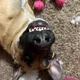 Mikayla profile