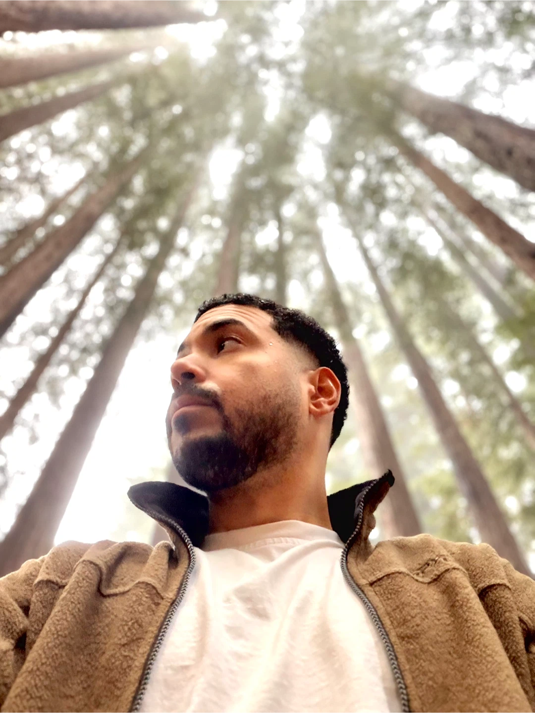 Anthony profile