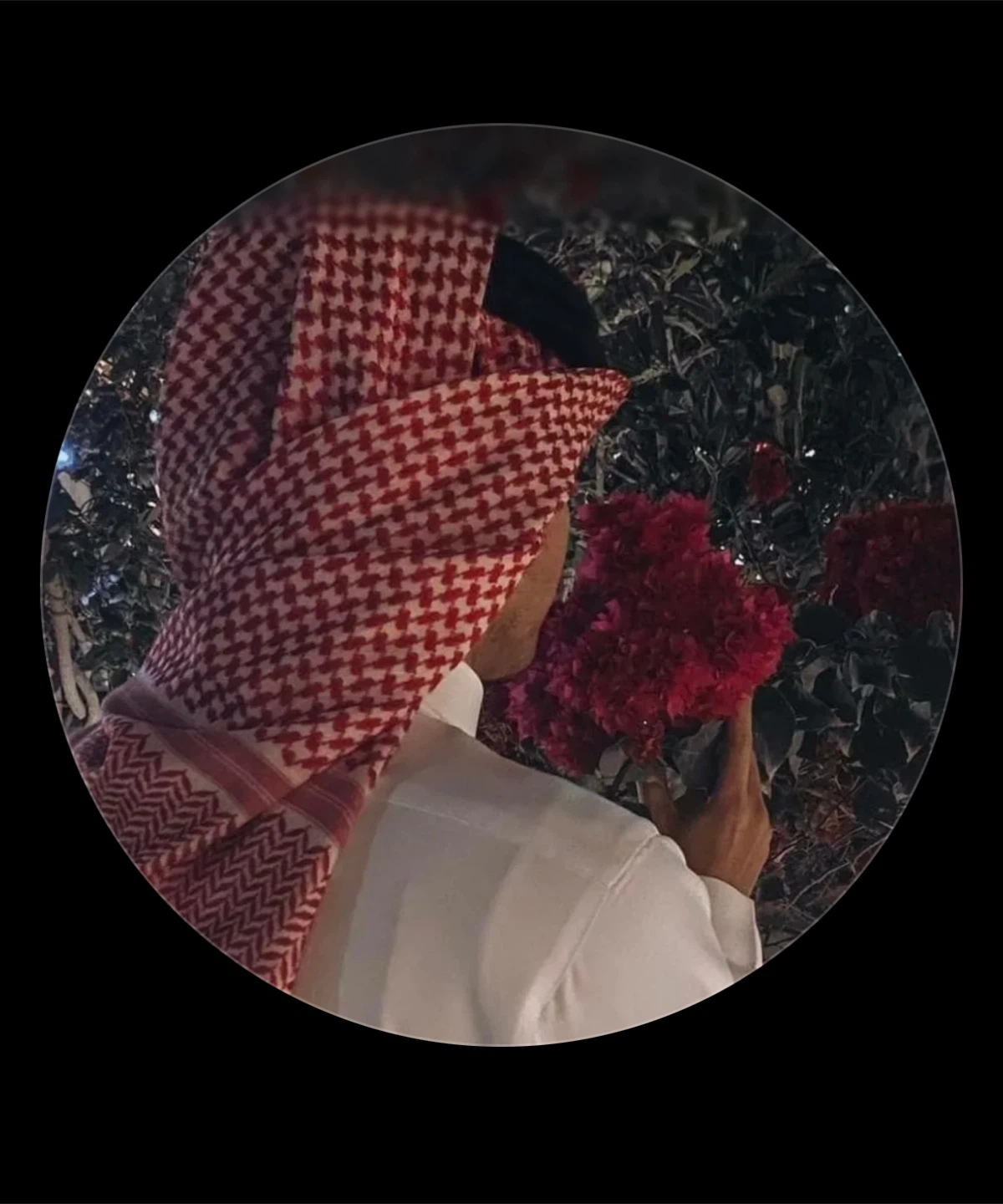 Mudassir profile