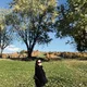 LYN profile