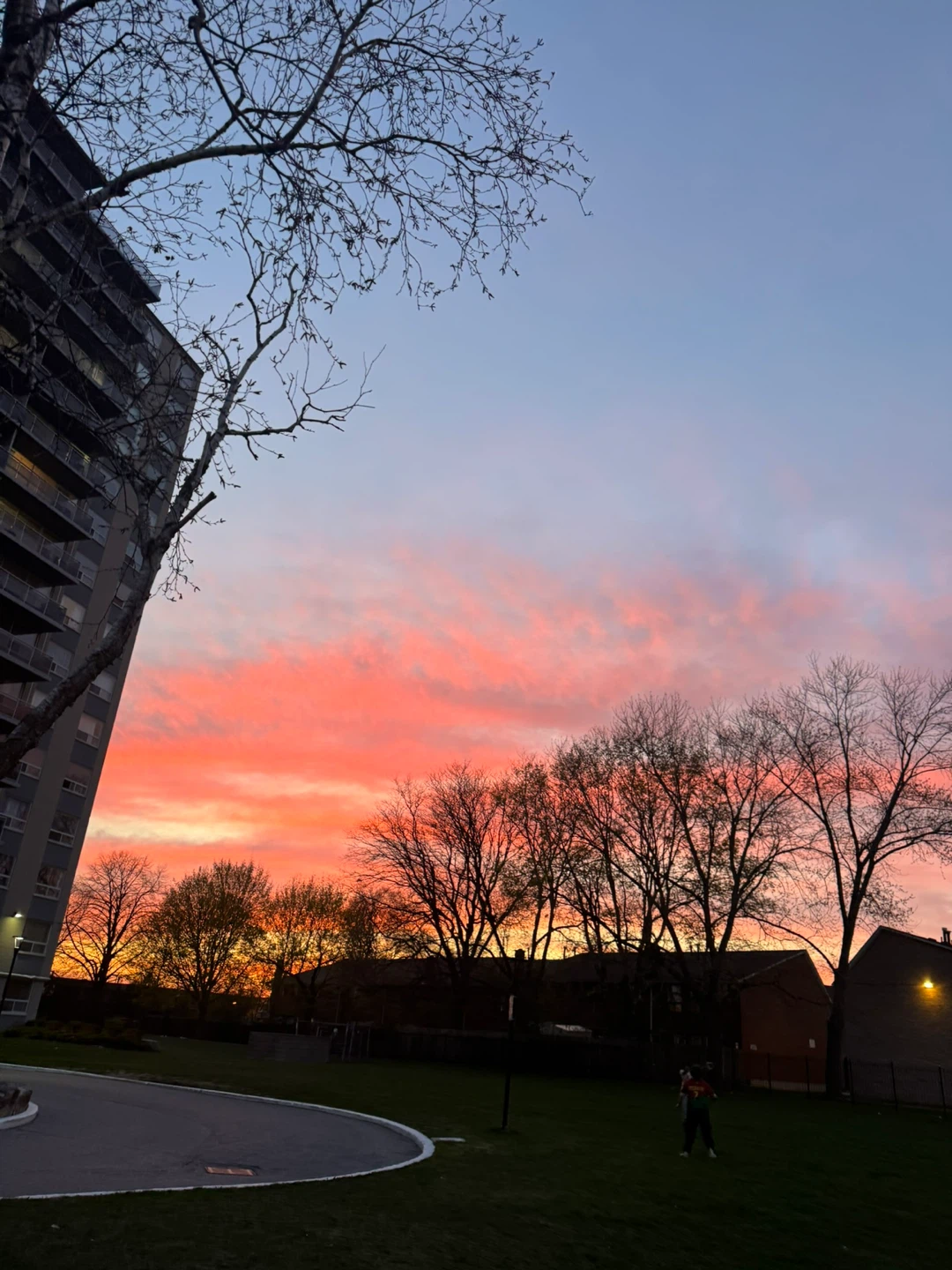 Rafael Torres profile