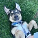 Nicky profile