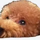 Don Nasrru profile