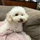 Amy profile