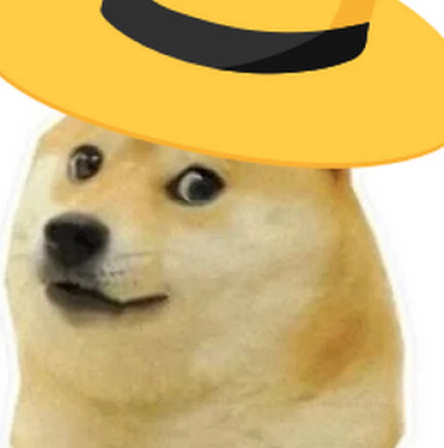 Dogedrip profile