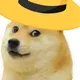 Dogedrip profile