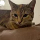 Casey profile