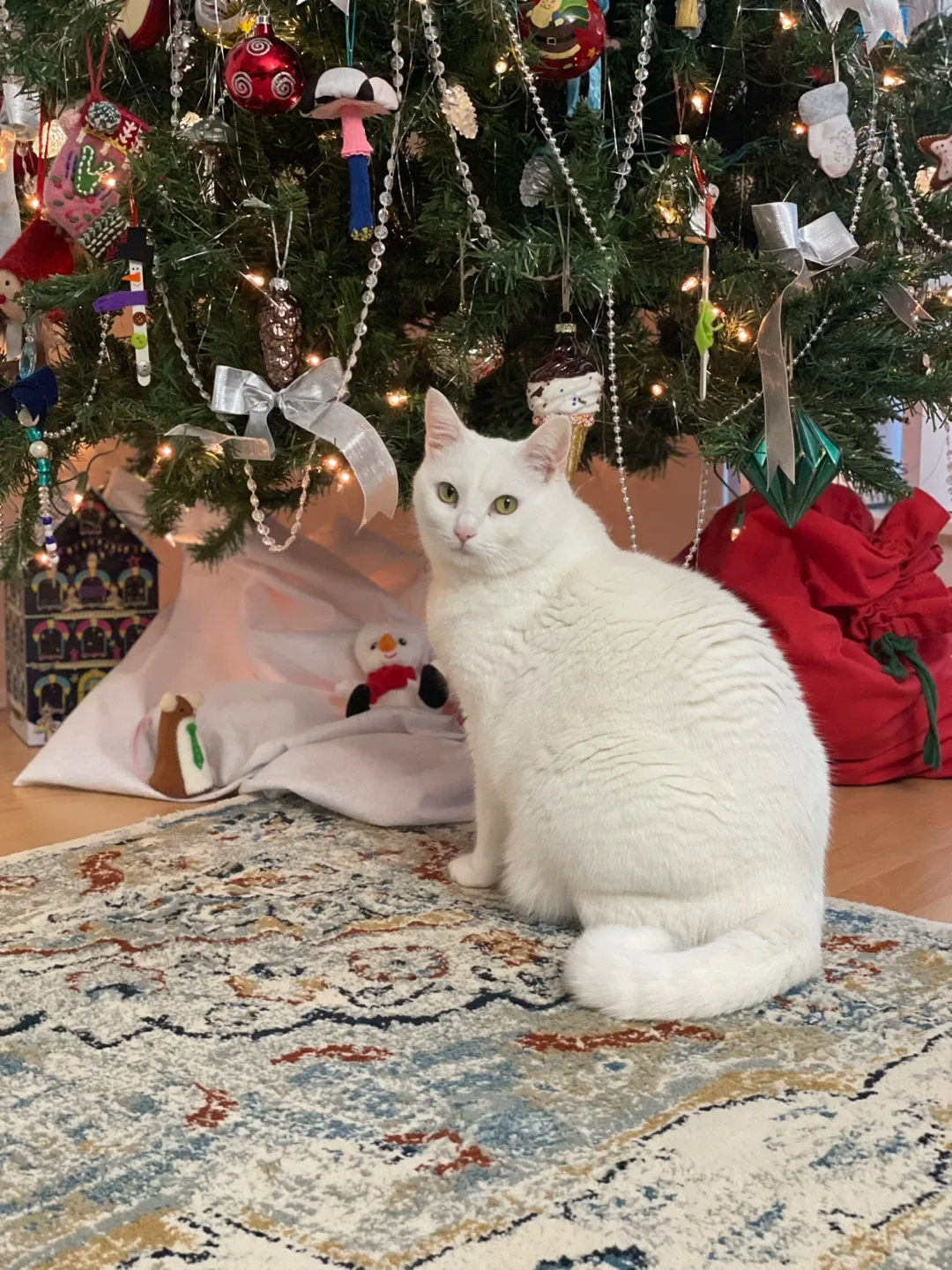 Vasilisa Alikova profile