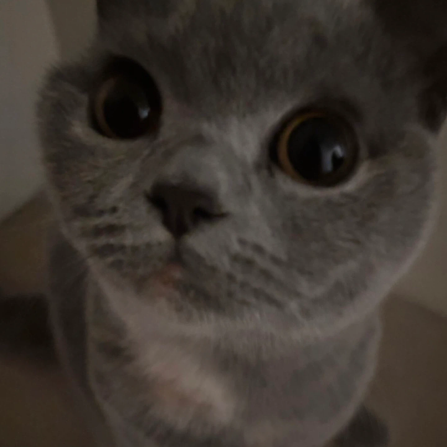 Pphan profile