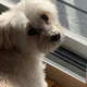 Lucys Mom profile