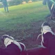 Rashim profile