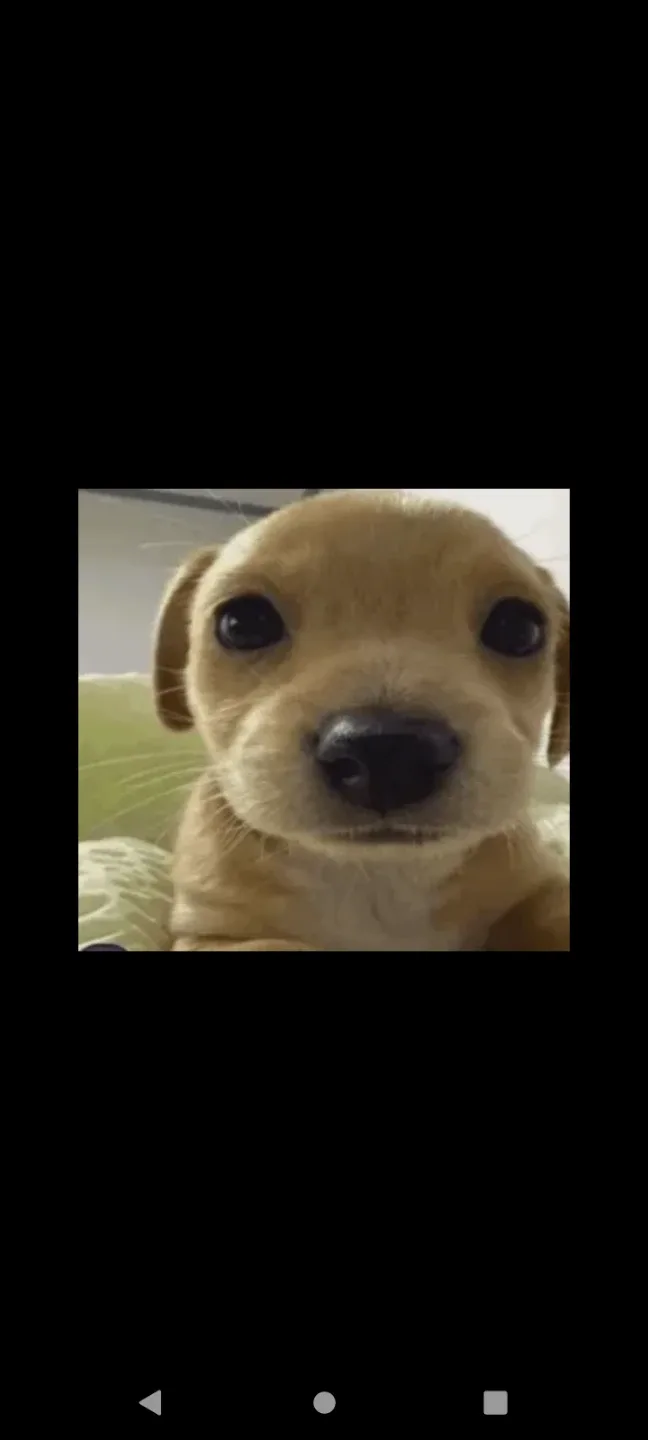 trade up master profile