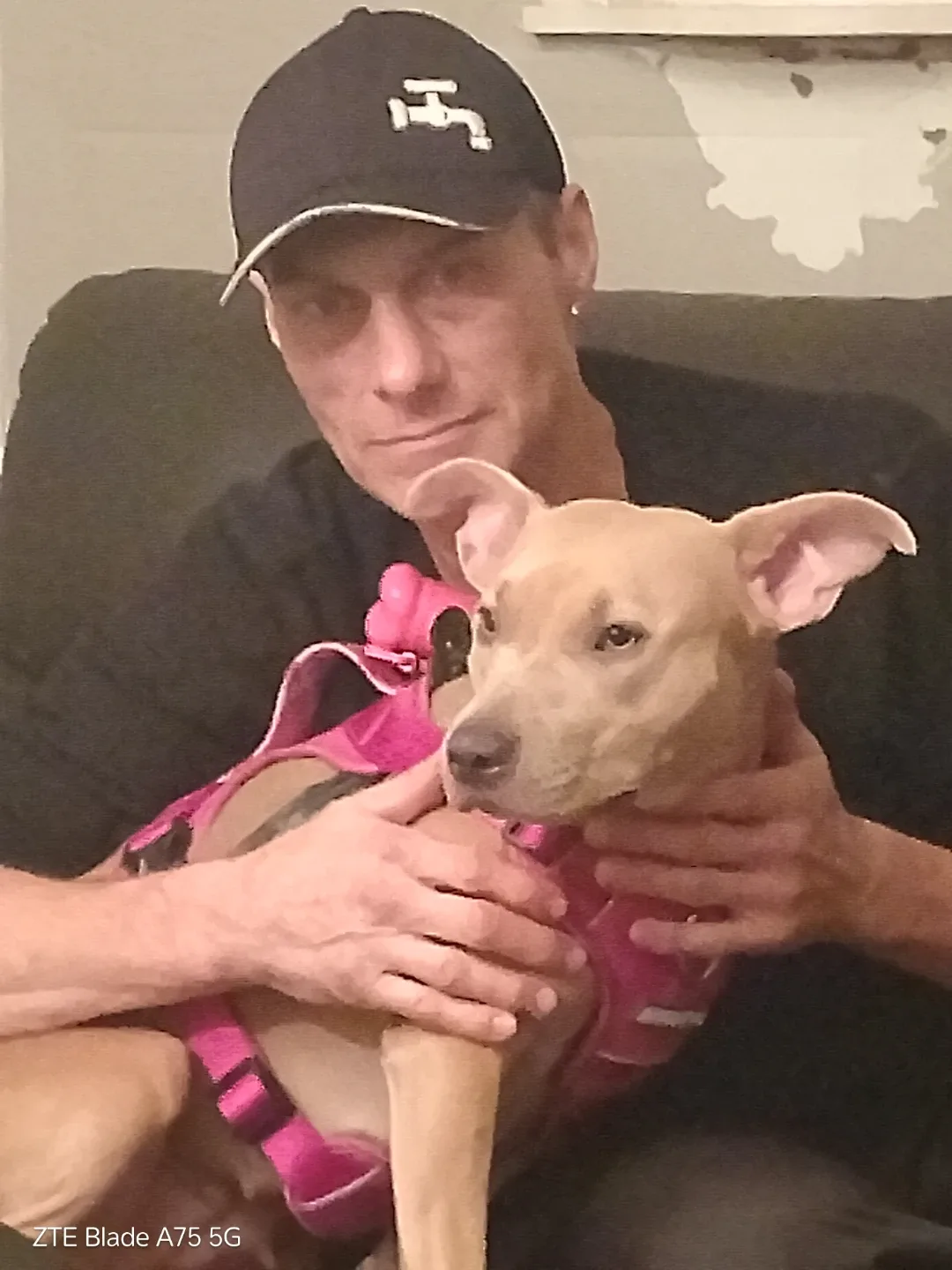 David Pomeroy profile