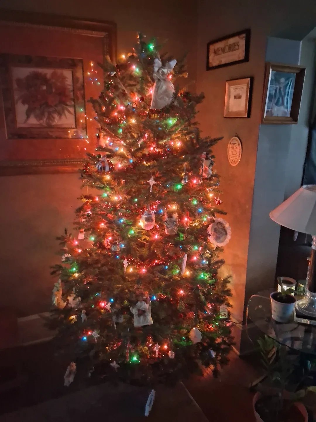 Levi jiardina profile