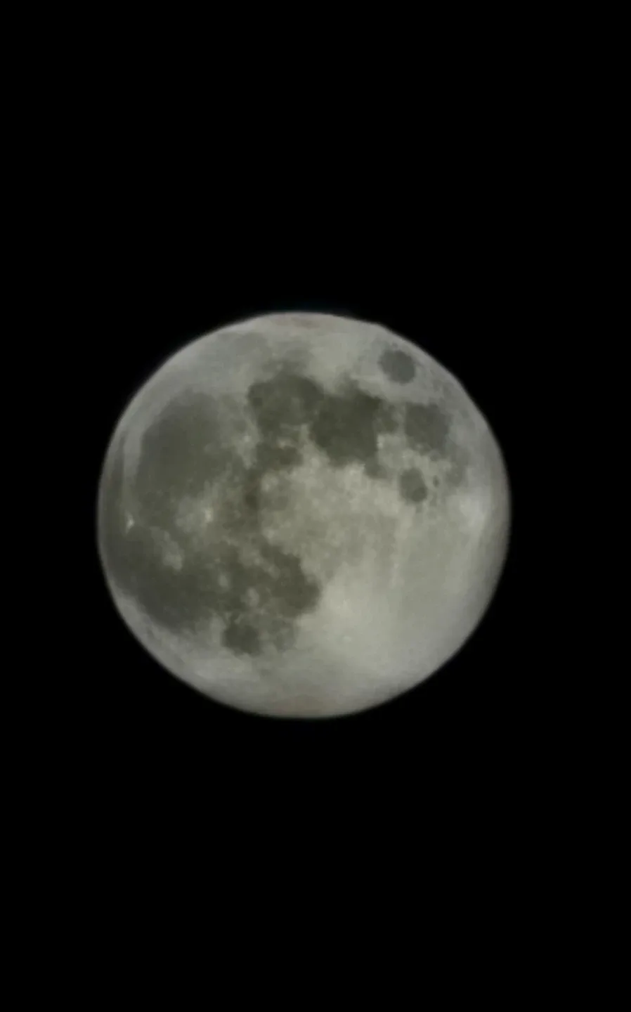 Wesley 528060 profile