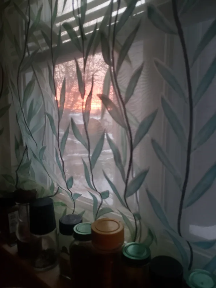 Christine MacDonald profile