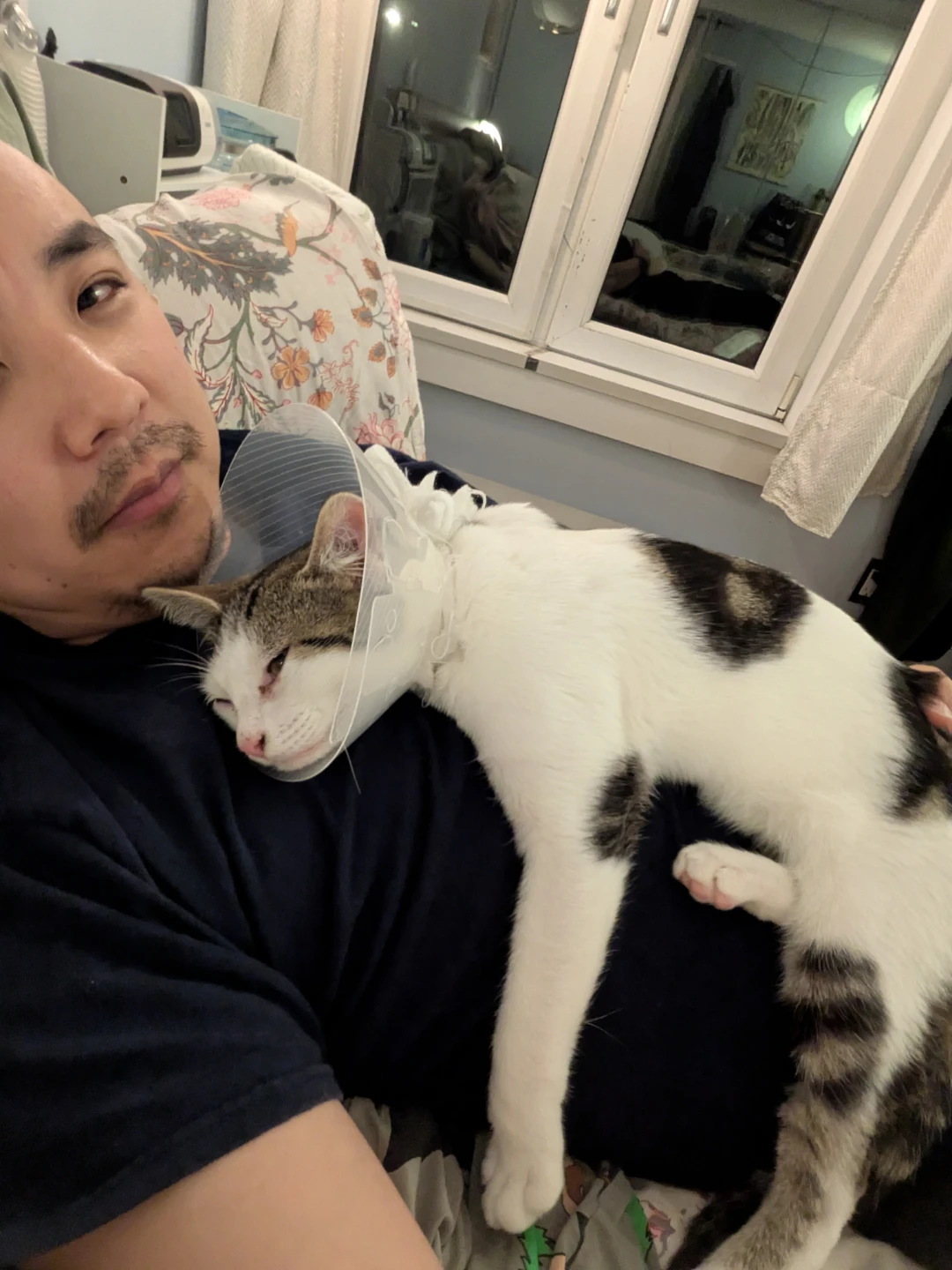 Steve