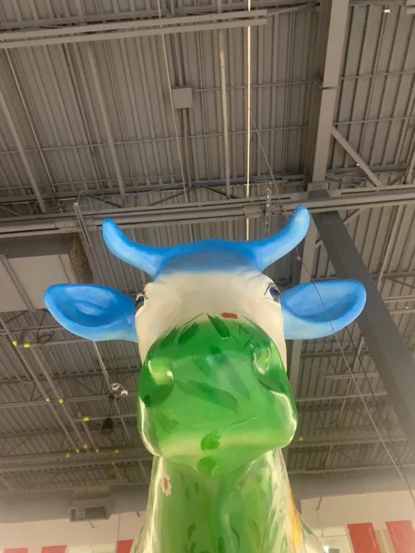 Raiden Morningstar profile