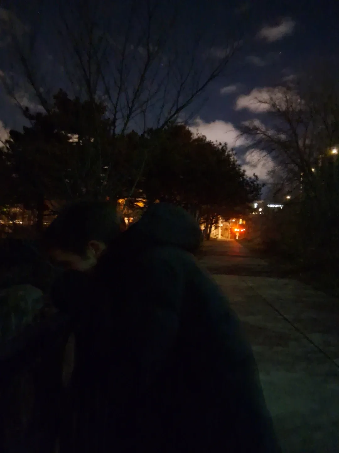 M and N collectibles profile