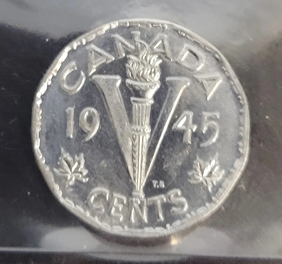 Steven Stefan profile