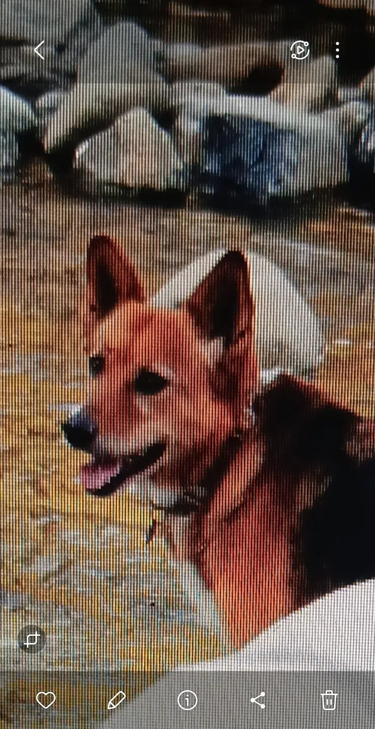 treasuredetector profile