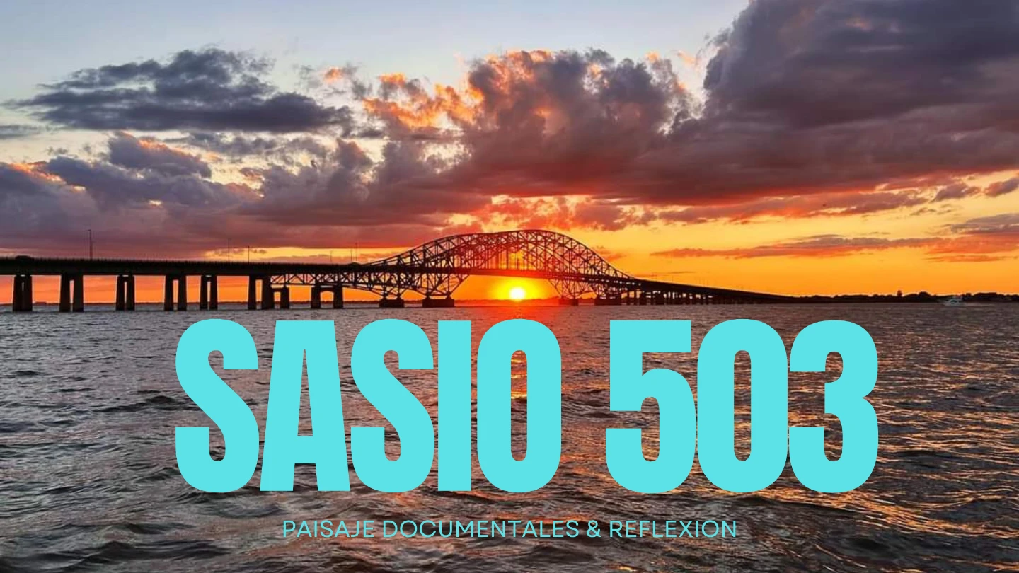 Sasio profile