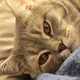 Sebastian profile