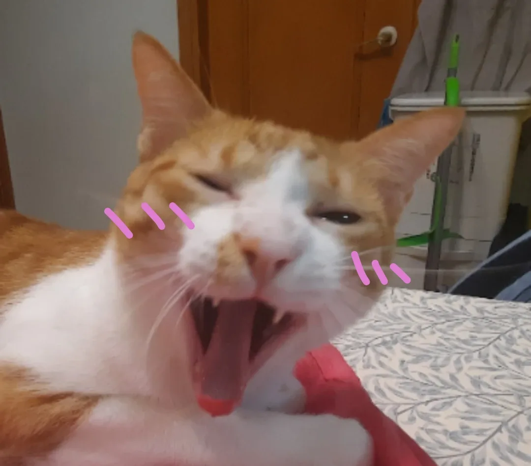 Cheryl Chang profile