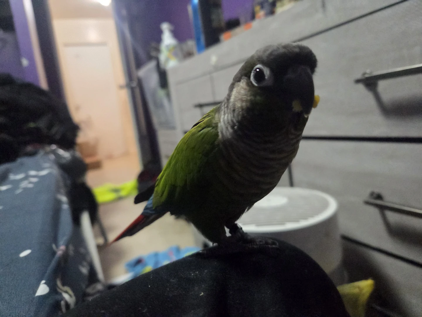 Princefisherman profile