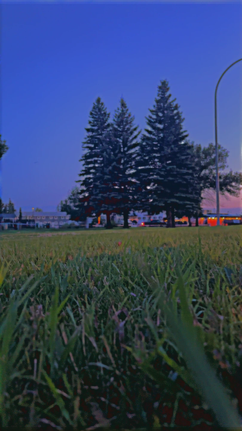 Mostafa profile