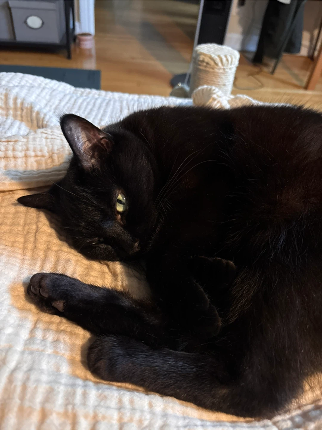 SunnyLawrence profile