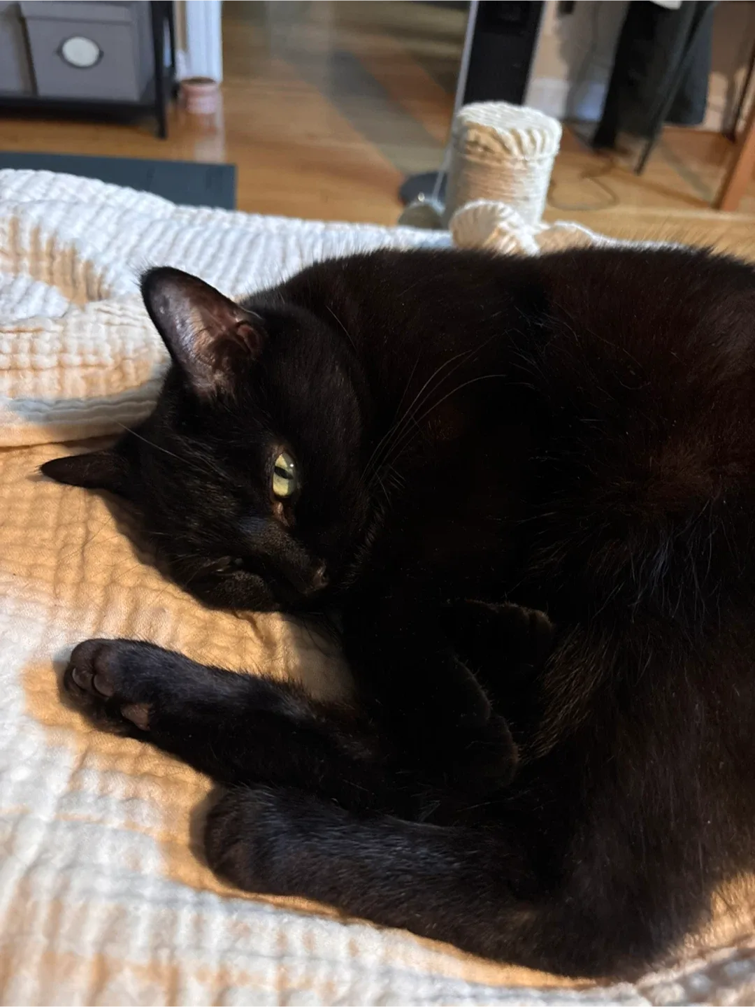 SunnyLawrence profile