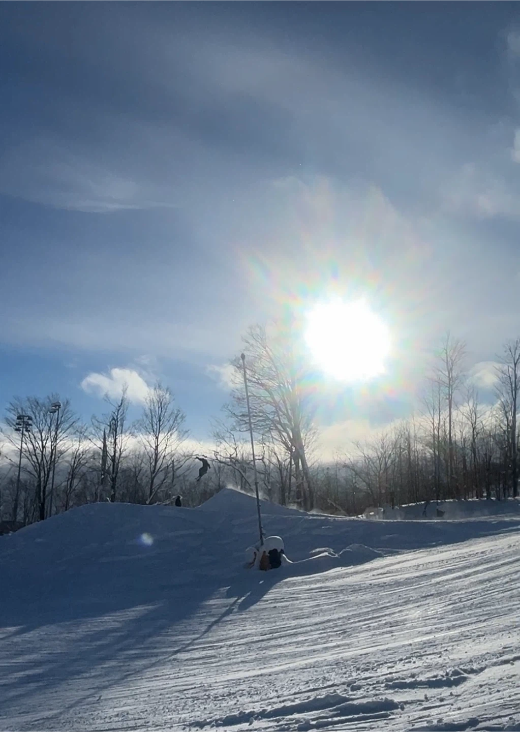 Max Campbell profile