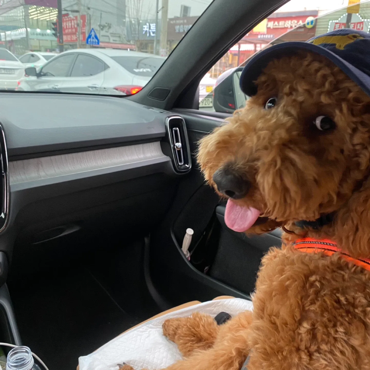 Temporary name89 profile