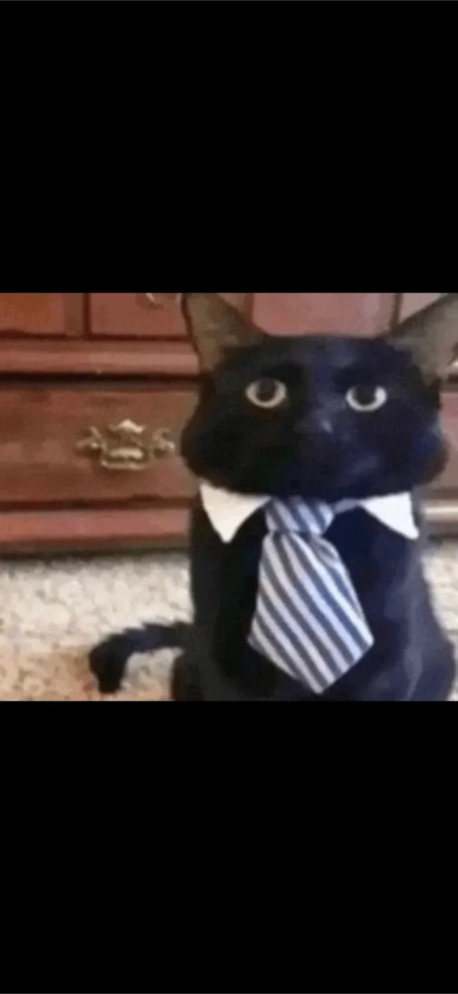 Quinlan Presley profile