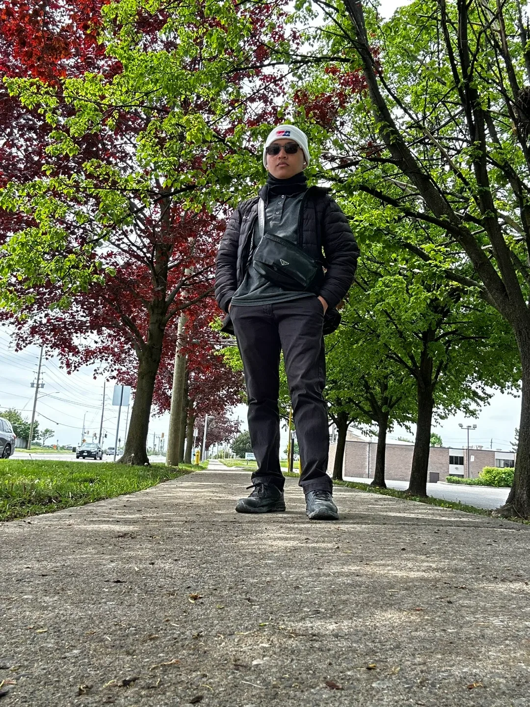 Daniele Bonifacio profile