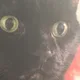 Astrid profile
