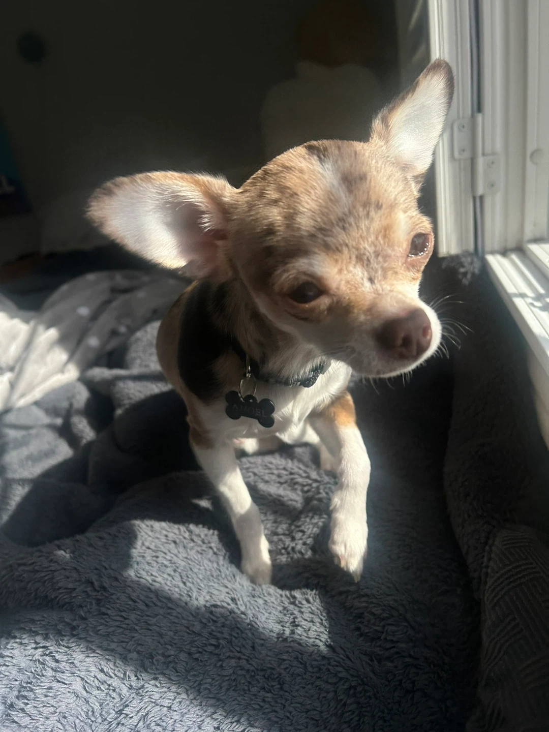 Mia S profile