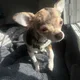 Mia S profile