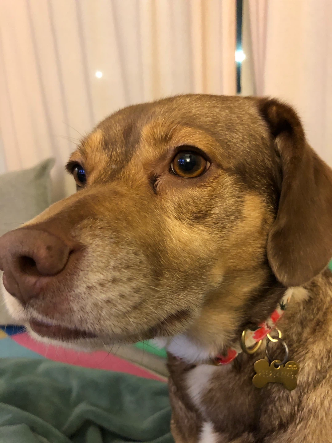 Ragnar profile