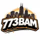 773BAM profile