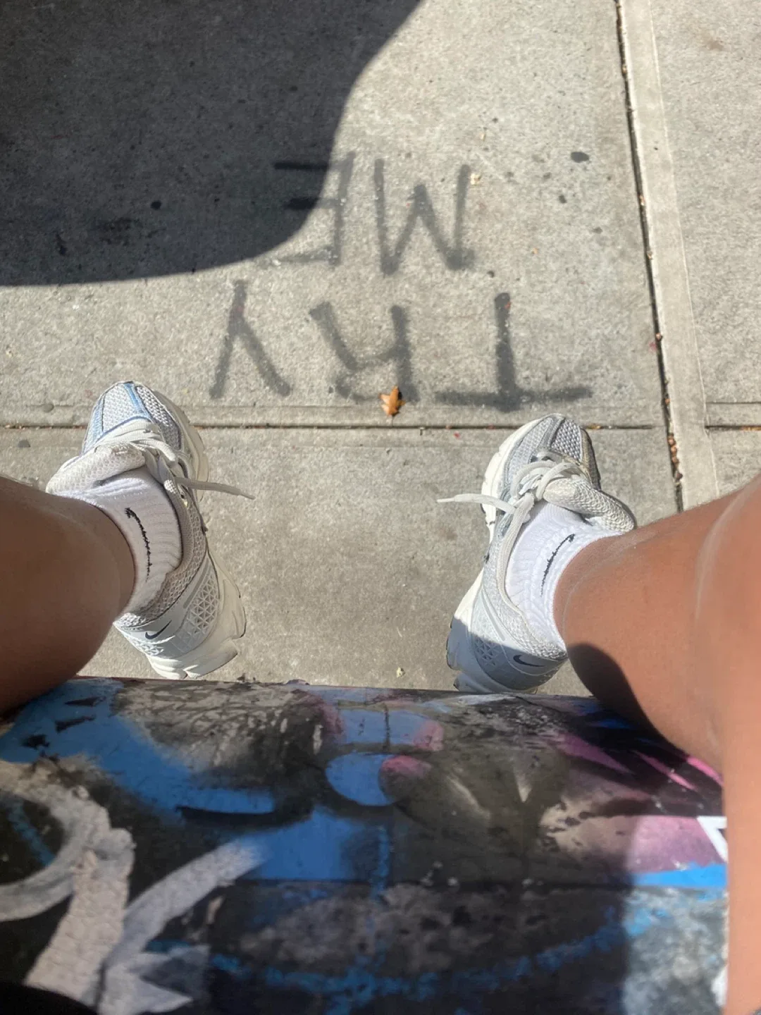 Amaurys torres profile