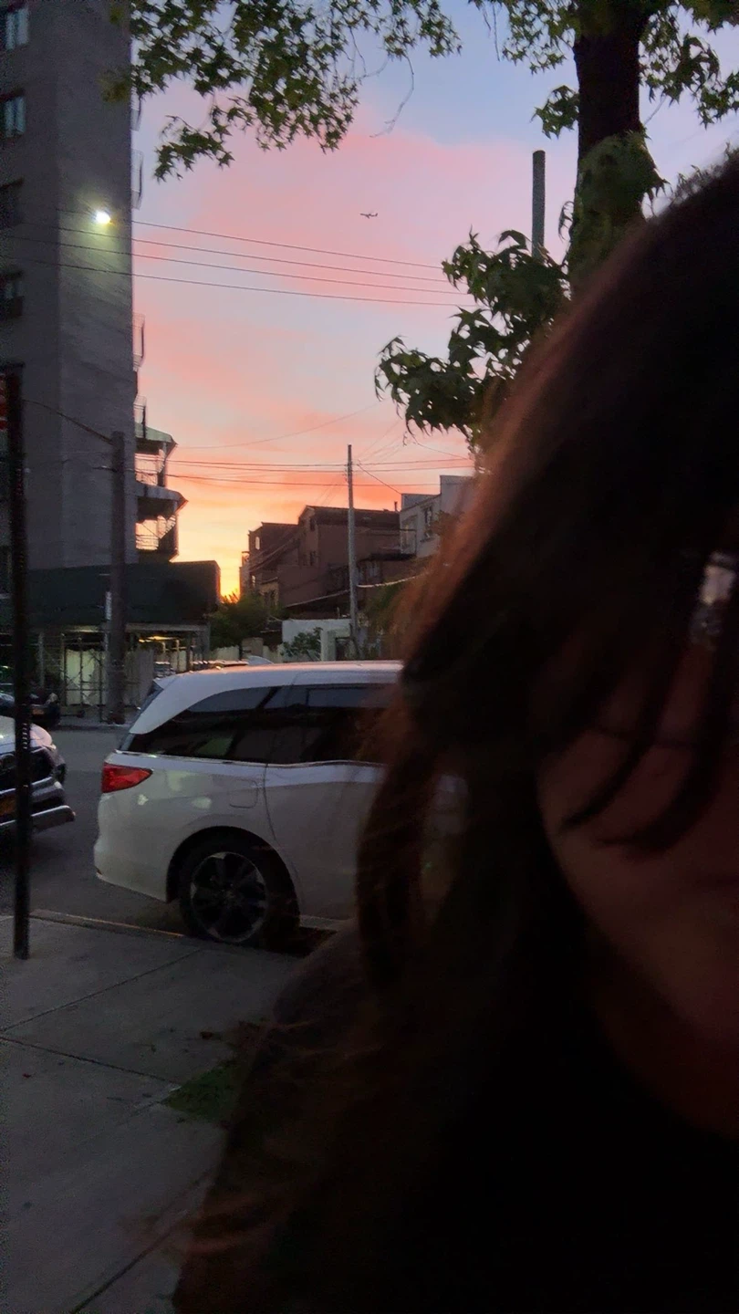 Brisa profile