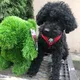 Lu profile
