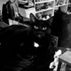 Nat profile