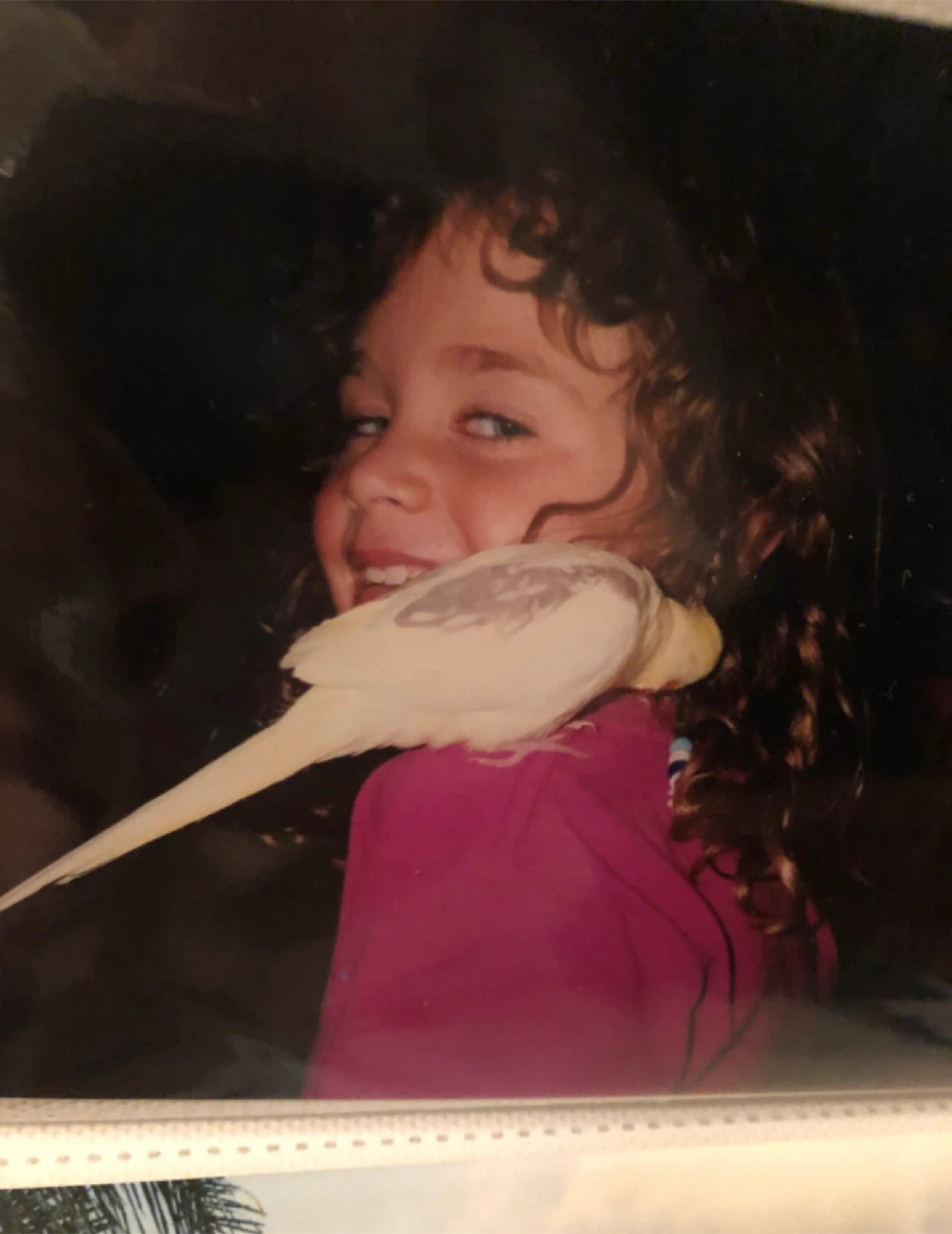 Dalimarz profile