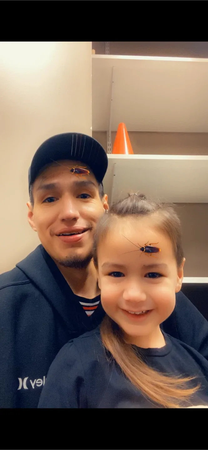 Gatine Applegarth profile